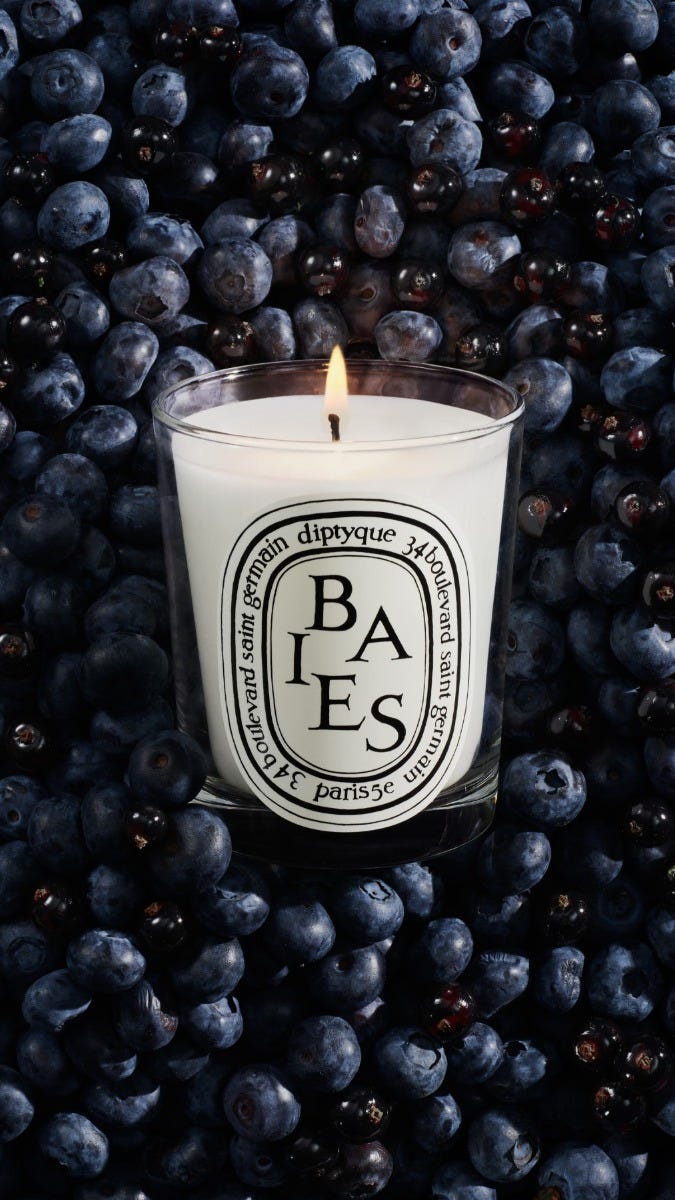 herbier_visuel_baies-