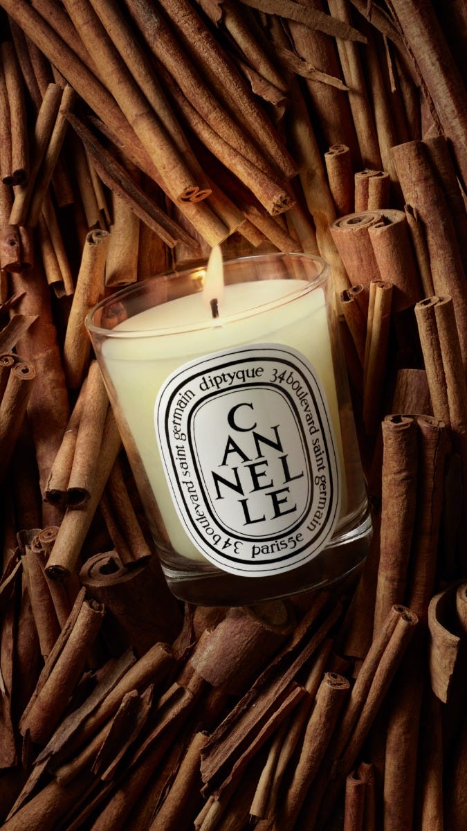 Cannelle (Cinnamon) - Classic candle | Diptyque Paris