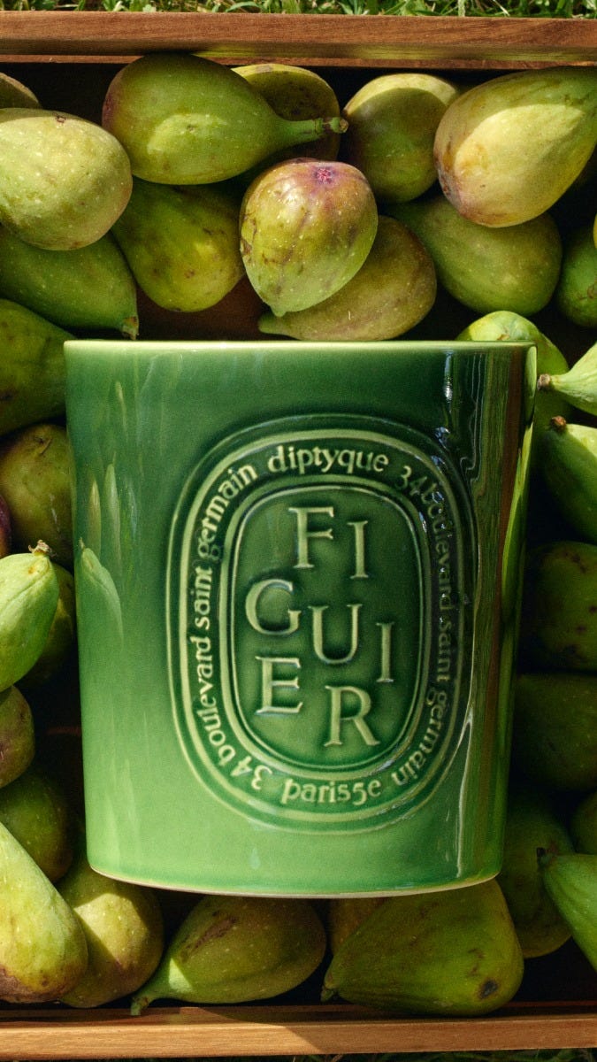 Figuier（フィギエ） - エクストララージ キャンドル | Diptyque Paris