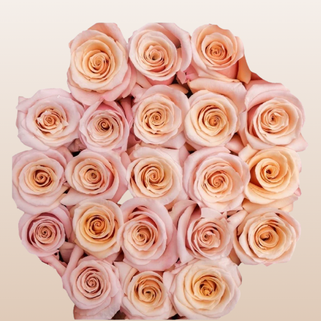 Mother of Pearl Roses – EbloomsDirect