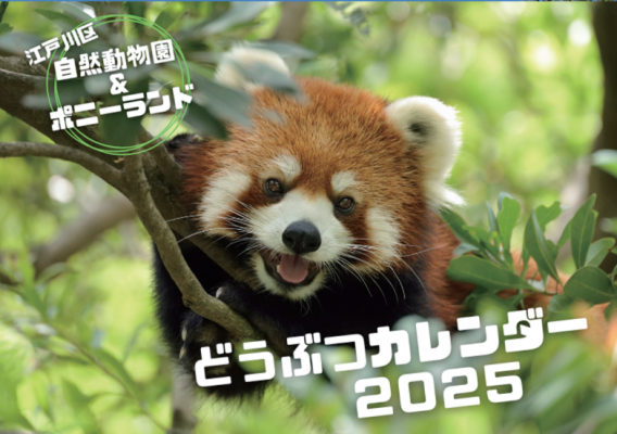 どうぶつカレンダー2025好評発売中！ - ニュース - ポニーランド