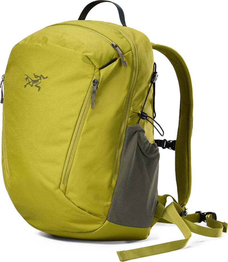 f25-x000009825-022330-mantis-