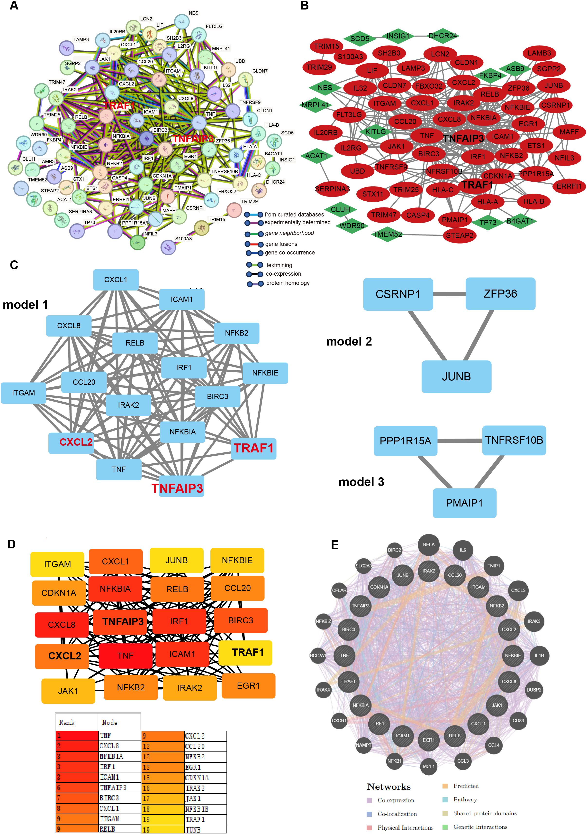 Frontiers | Integrated transcriptomics and molecular docking