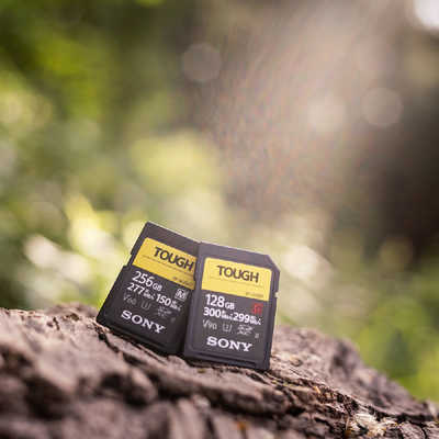 ソニー SONY SDXCカード TOUGH(タフ) SF-Mシリーズ (256GB) SF-M256T