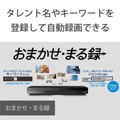 ソニー SONY ブルーレイレコーダー 2TB 3番組同時録画 4Kチューナー