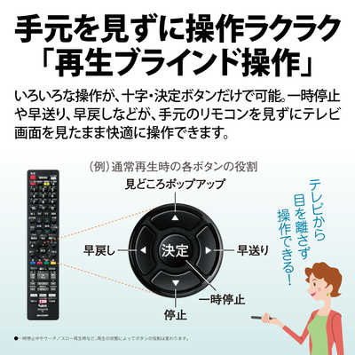 シャープ SHARP BDレコーダー AQUOSブルーレイ [2TB /3番組同時録画