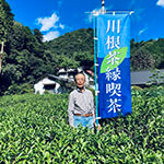 川根茶を直売している茶農家さんリスト | 川根茶ポータル