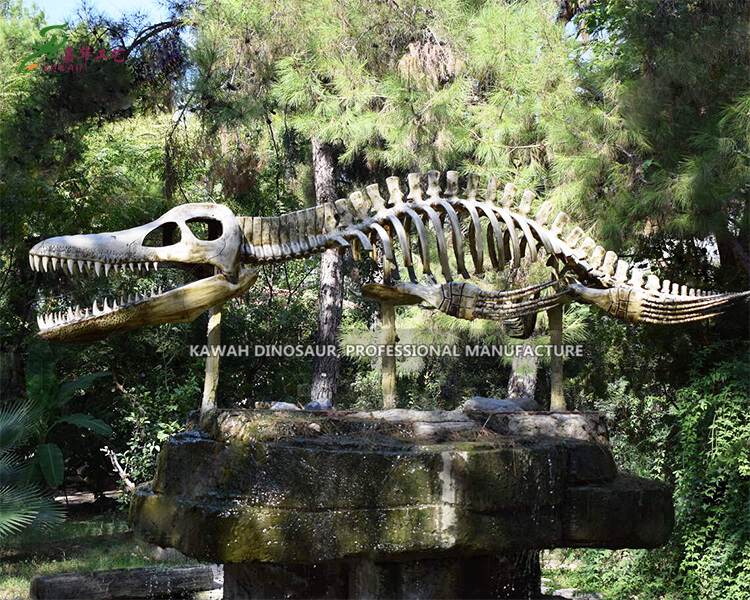 森林公園の装飾用カスタムリアルなイクチオサウルス骨格恐竜化石