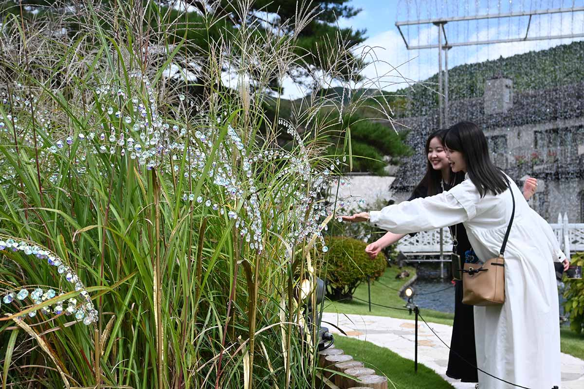 箱根ガラスの森美術館、クリスタルのススキが七色の輝き 秋風に揺られ