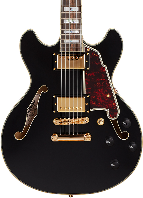 Excel Mini DC Black | D'Angelico | 取扱いブランド | 株式会社 神田