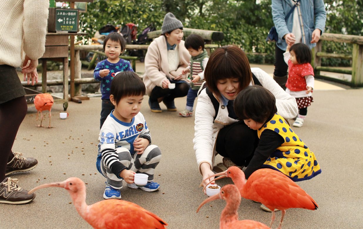松江フォーゲルパーク « しまね Kids Fun Trip 子供と楽しむ島根旅♪