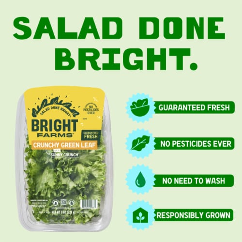 BrightFarms Crunchy Green Lettuce aka Sunny Crunch, 8 oz - Pick 'n