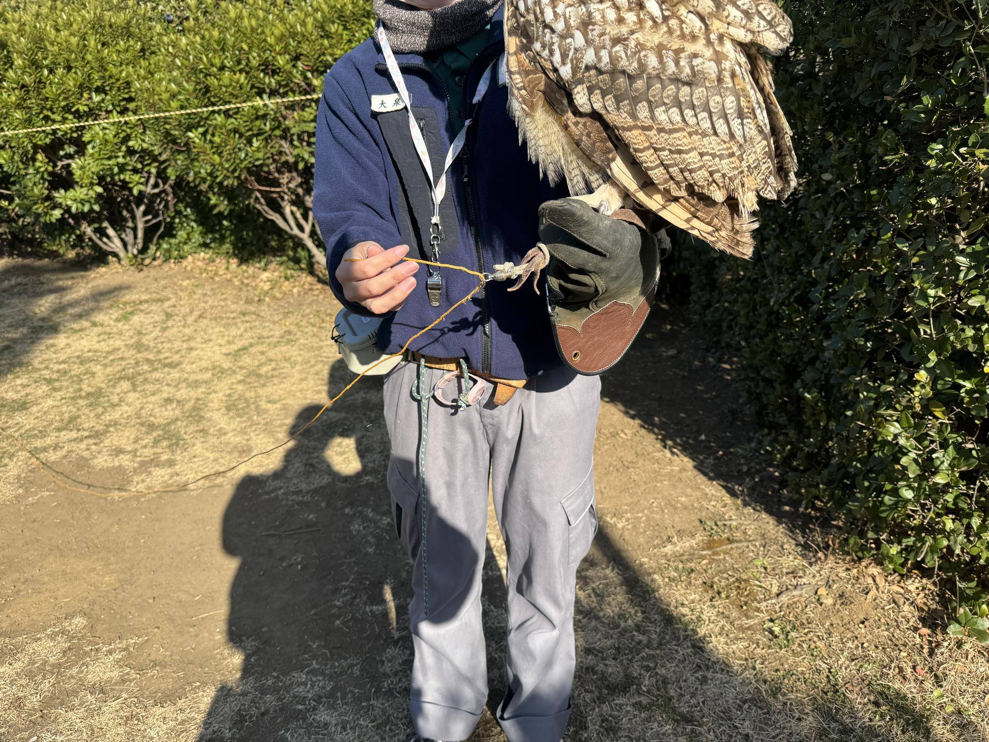 バードショーでの鳥インフルエンザ対策！|飼育日誌｜ブログ|よこはま