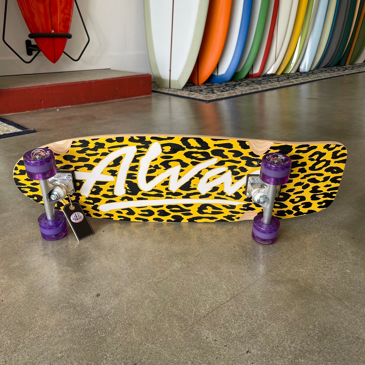 Alva 1979 Pig Complete – Icons of Surf