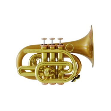 CAROL BRASS キャロルブラス / N3002 Arturo Sandoval 【Bb ポケット
