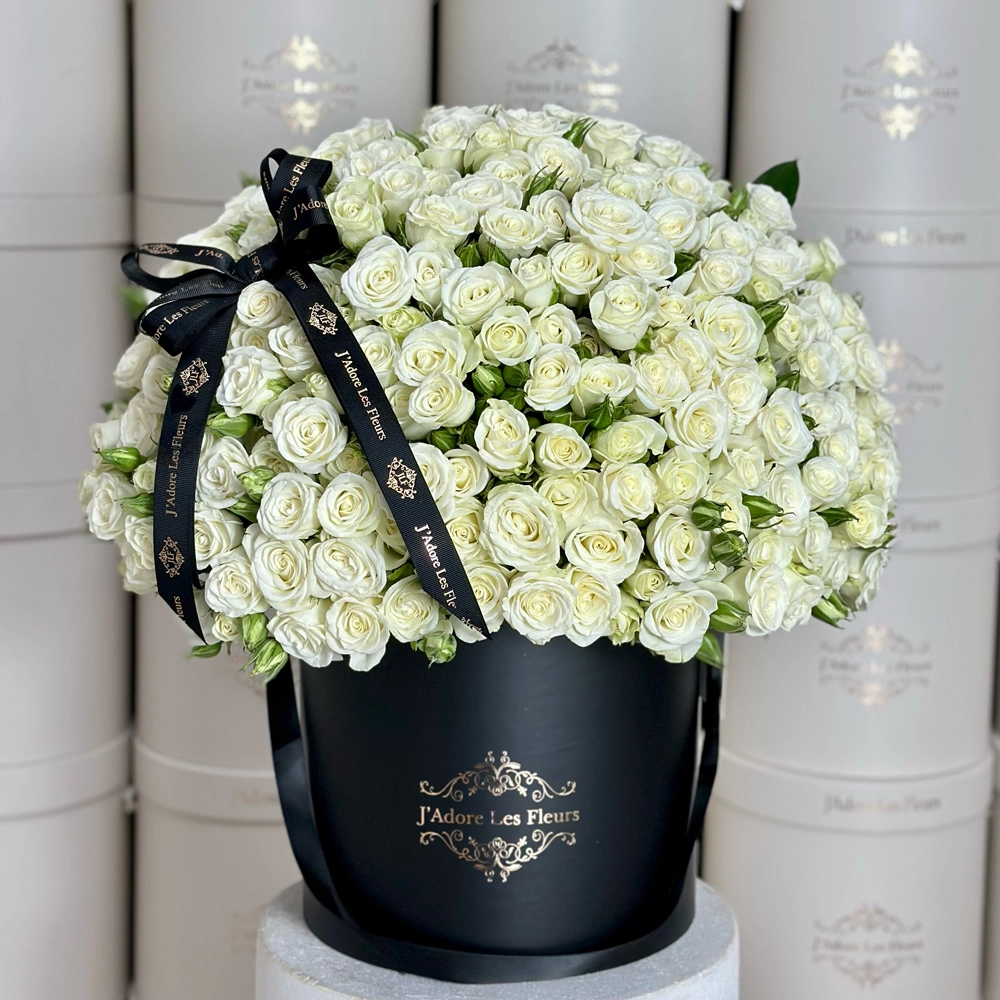Signature Black Roses With Orchids - JLF Miami