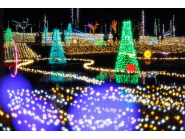 国営アルプスあづみの公園 Winter Illumination （堀金・穂高地区
