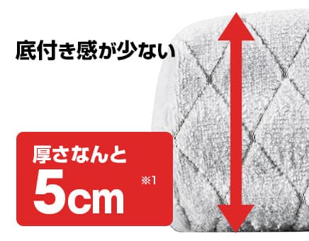西川 インテリア ボナノッテシートクッション2個セット グレー BU16221