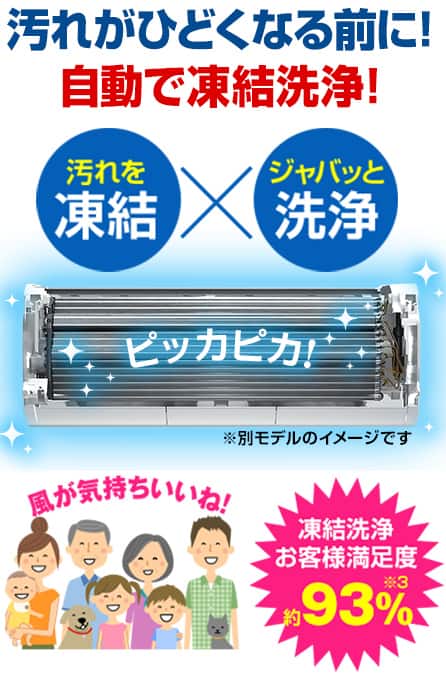 日立 エアコン ルームエアコン 白くまくん DTシリーズ 主に6畳 RAS