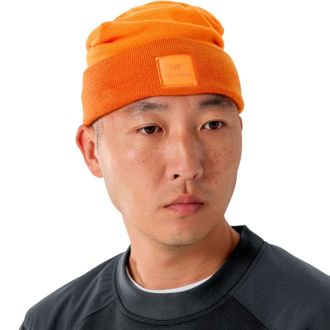 Arc'teryx Colour Block Toque ニットキャップ