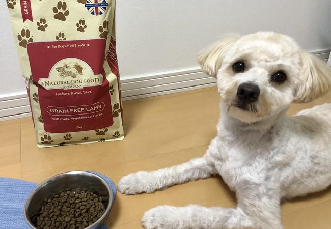 アランズナチュラルドッグフード ラム」の口コミは？愛犬が実食して