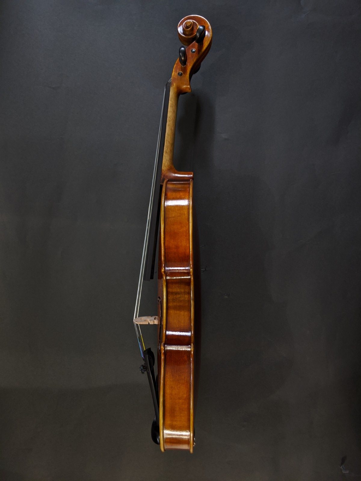 新品 CLAUDIO BACCI 4/4 | 株式会社エルフラット
