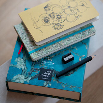 Van Gogh Notebooks