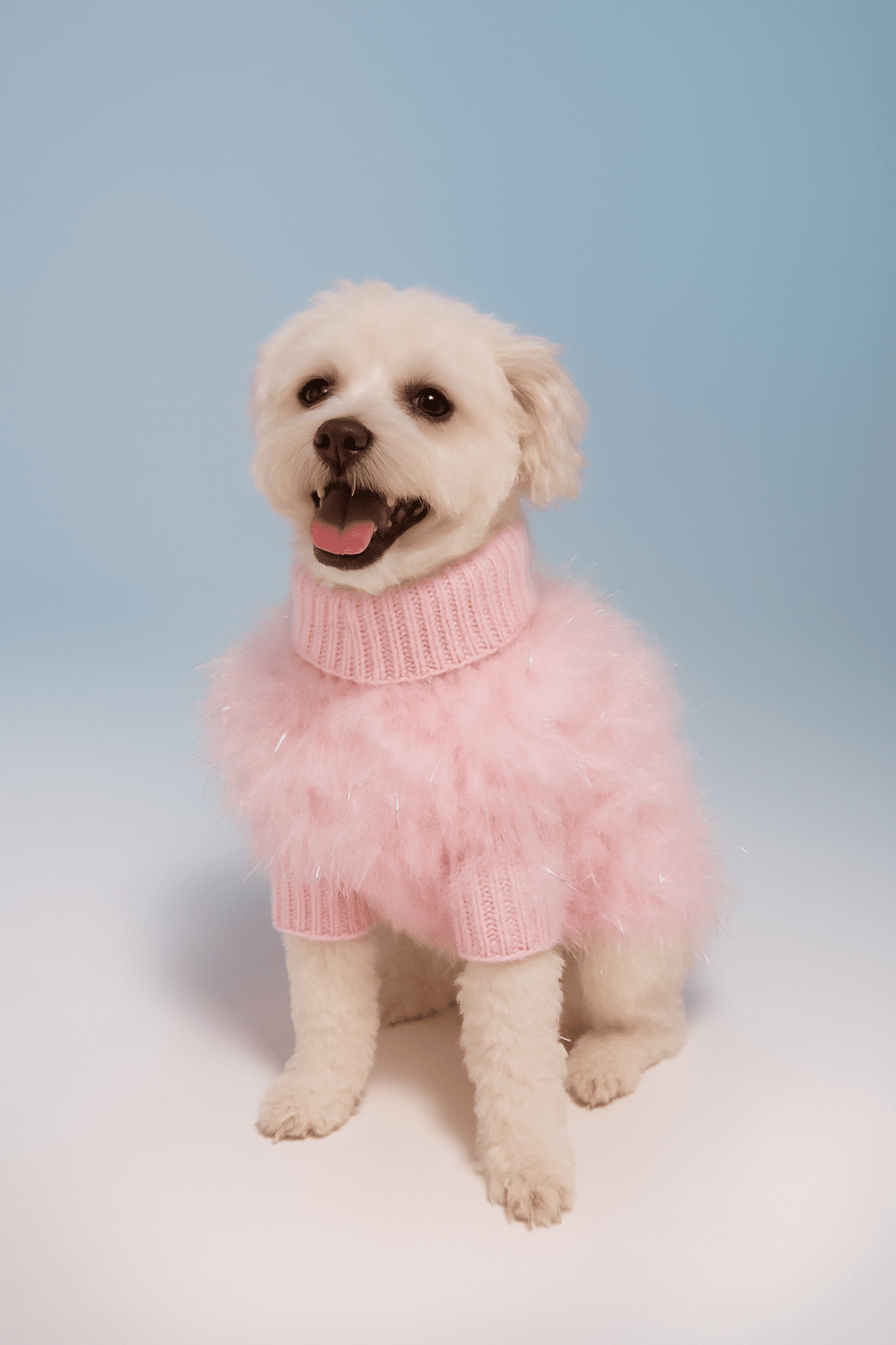 Christian Cowan Holiday Glitz Jumper – maxbone