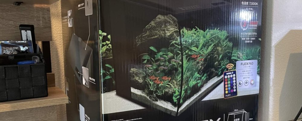 一体型水槽FLUVAL FLEXを徹底評価！気になる性能レビュー
