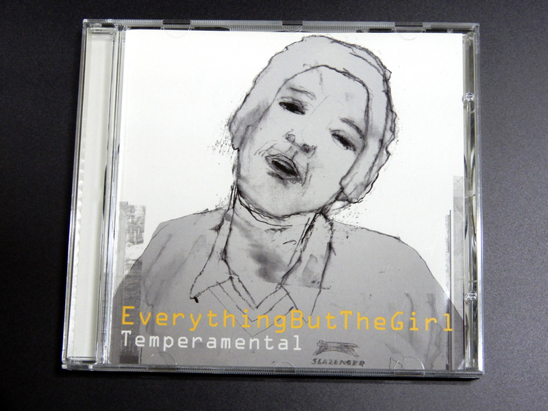 EVERYTHING BUT THE GIRLの「FUSE」を購入して2ヶ月ほど経ったので雑感