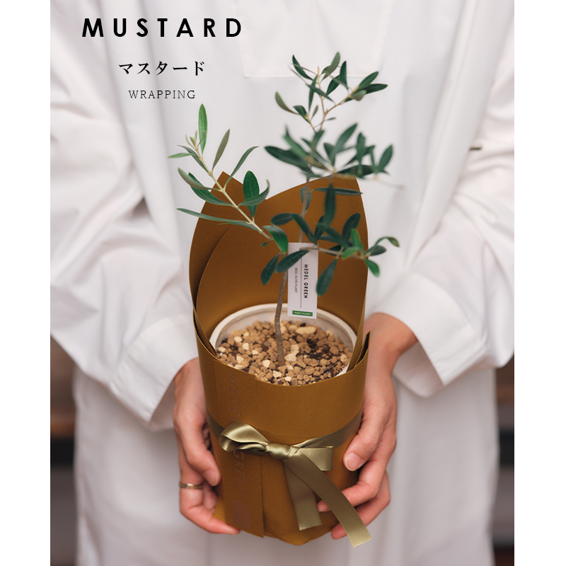 MEDELGREEN