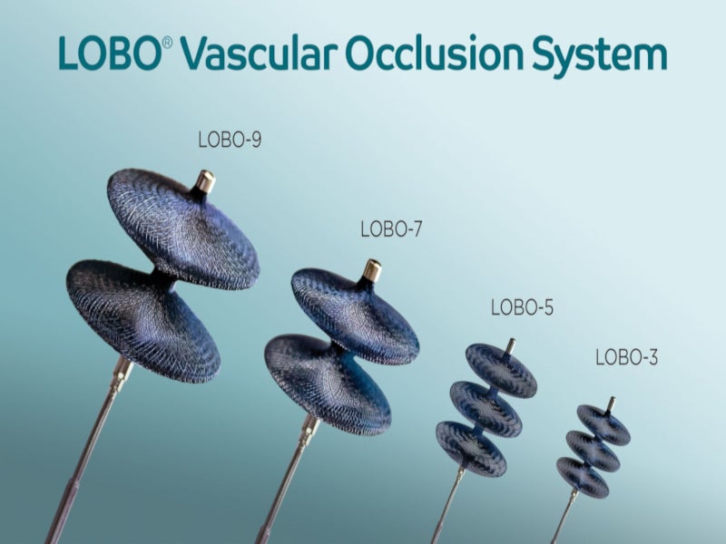 Okami Medical's LOBO Vascular Occlusion System, US