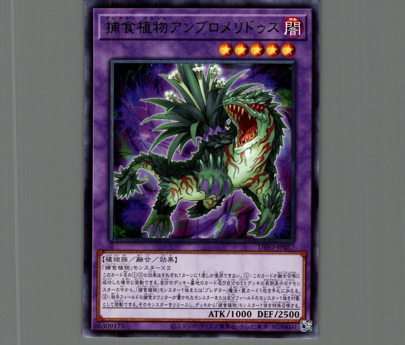 捕食植物アンブロメリドゥス/レア【融合】《DIFO-JP037》 プレデター