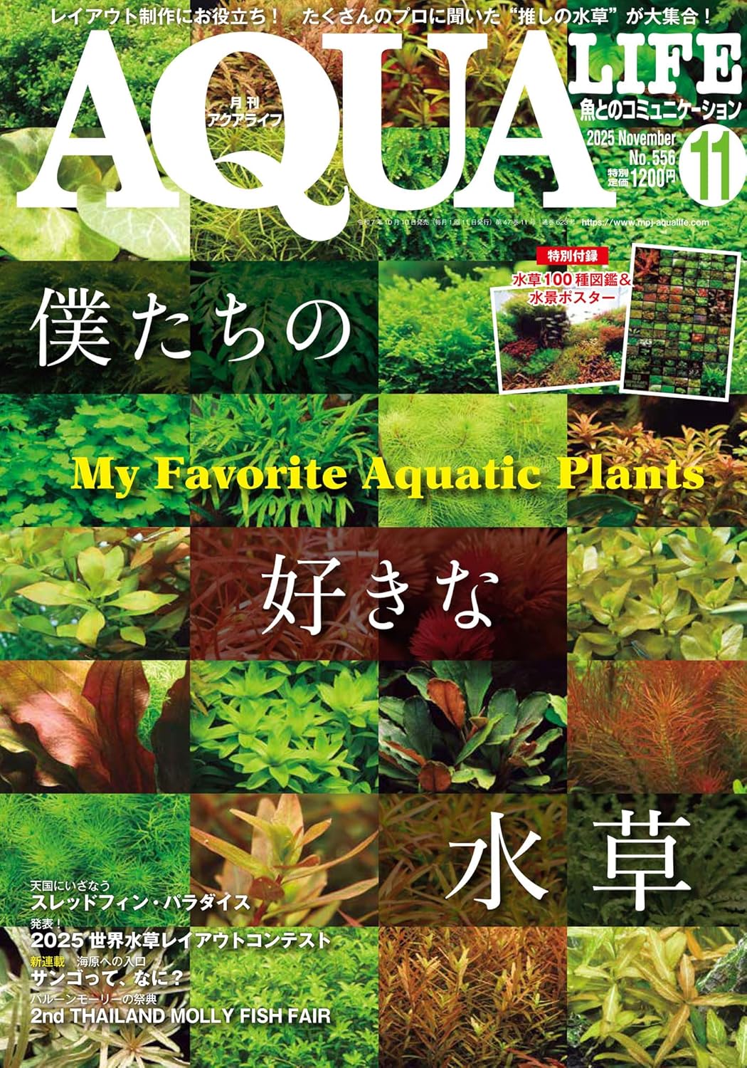 アクアライフ」の記事一覧 ｜ エムピージェー