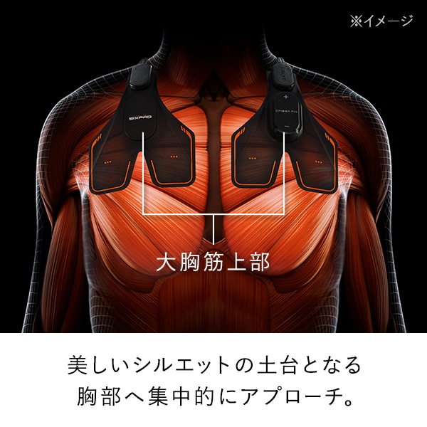 ① チェストフィット 正規品 シックスパッド SIXPAD : MTG シックス