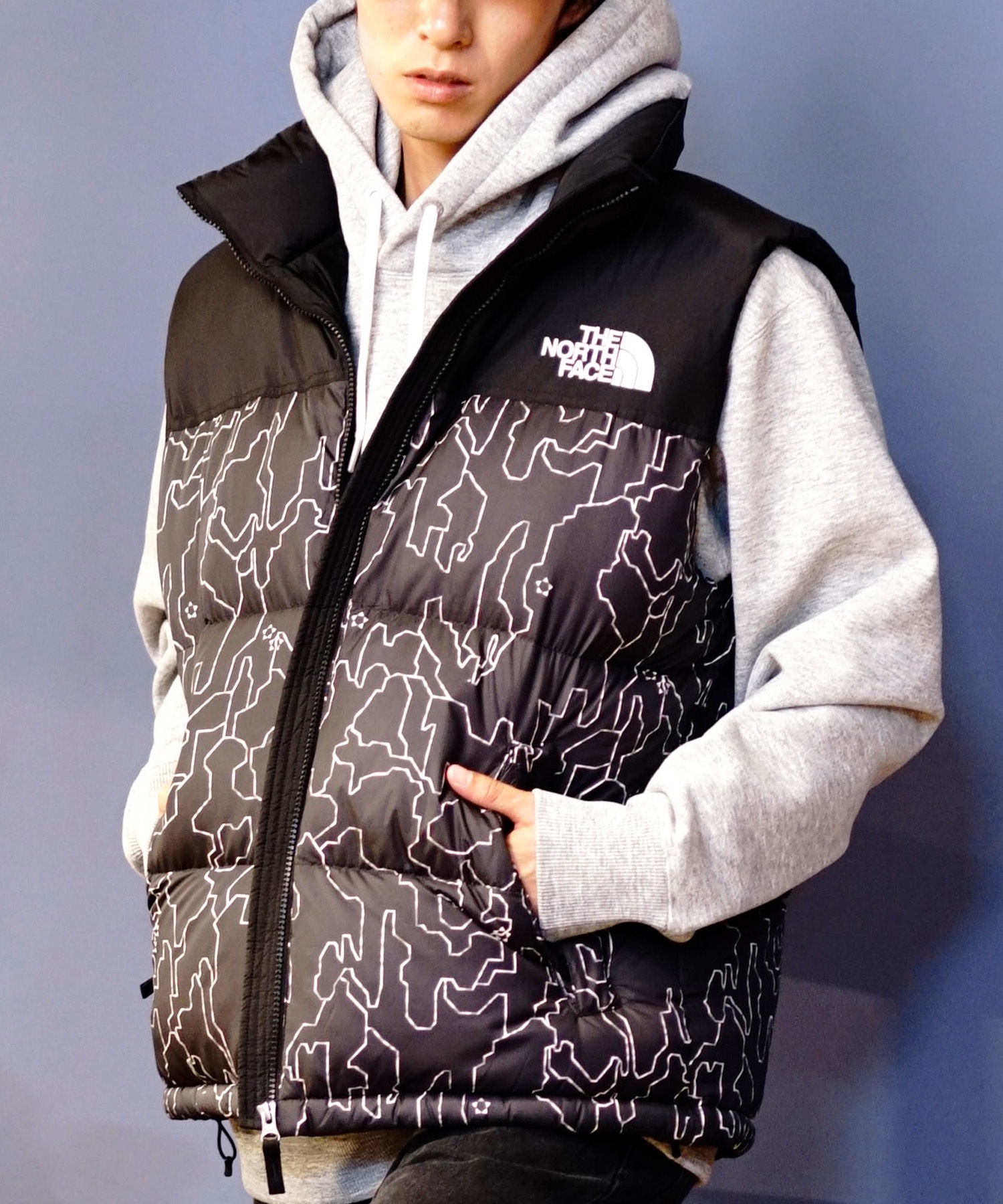 THE NORTH FACE ザ・ノース・フェイス アウター ダウン 中綿 メンズ