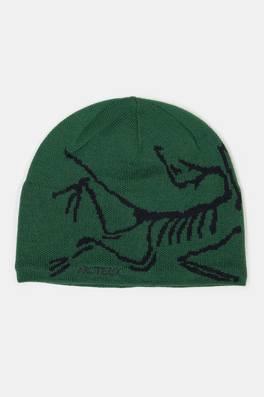 Bird Head Toque in Eden/Black - ARC'TERYX
