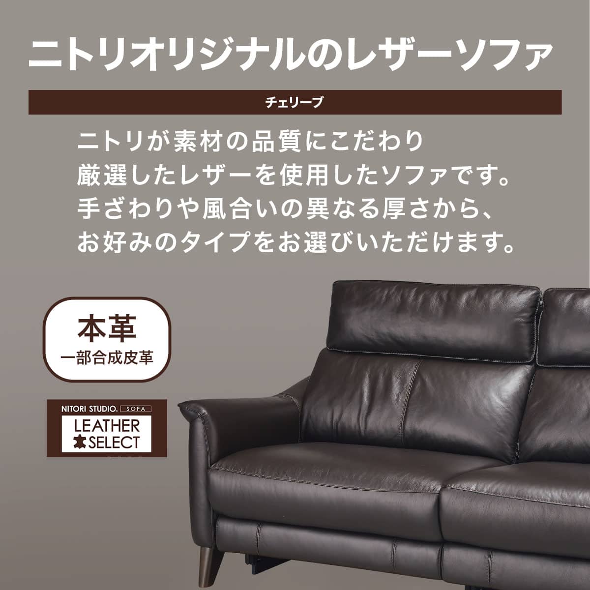 2人掛け両電動リクライニングソファ 本革(一部合成皮革)タイプ