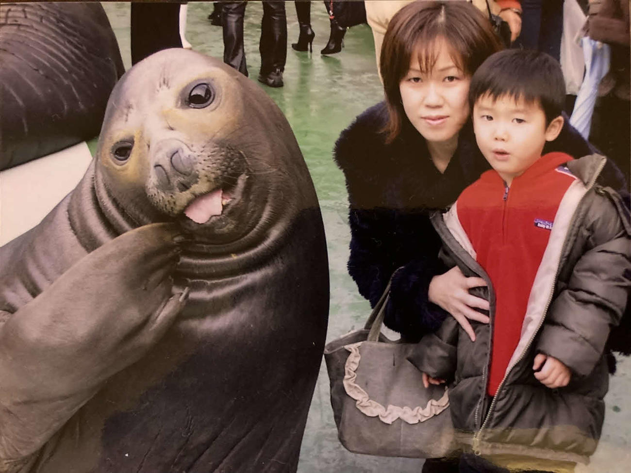 阪神】湯浅京己の思い出 あっかんべーするアザラシと写真撮った水族館
