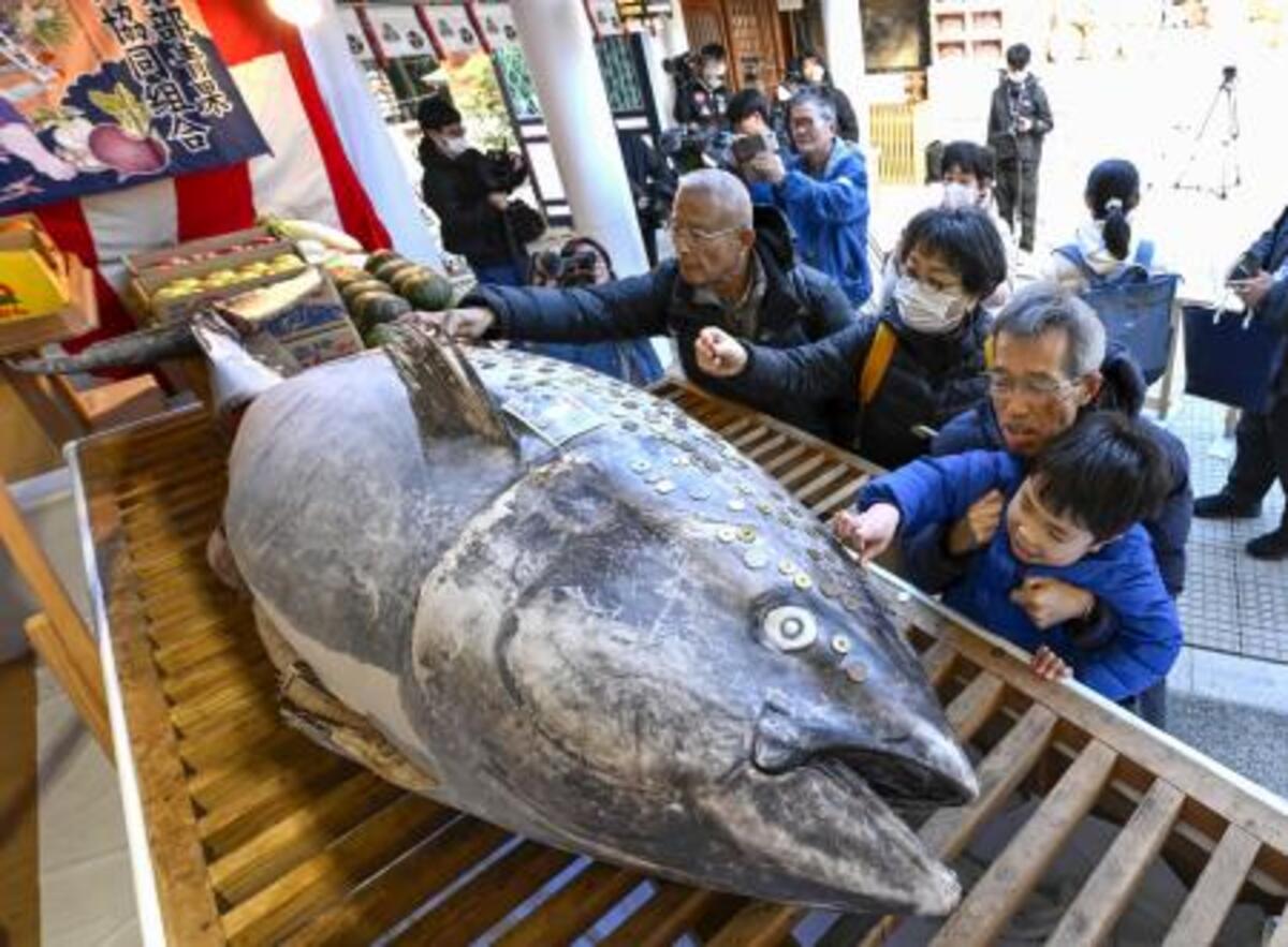 商売繁盛にマグロ奉納、西宮神社 「えべっさん」総本社｜【西日本新聞me】