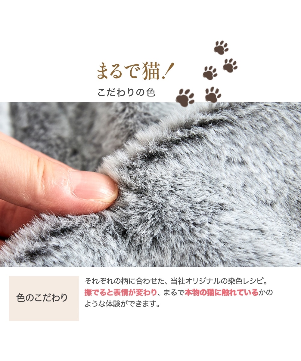 福袋】まるで猫！のようなモフモフリビング充実4点セット（猫Feel