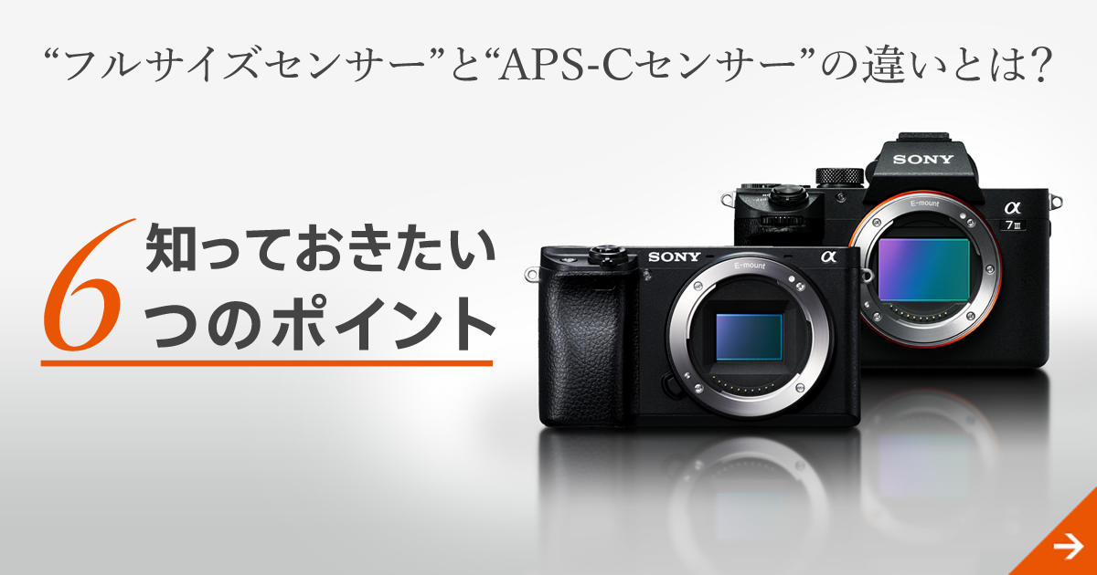 フルサイズセンサー”と“APS-Cセンサー”の違いとは？ 知っておきたい6