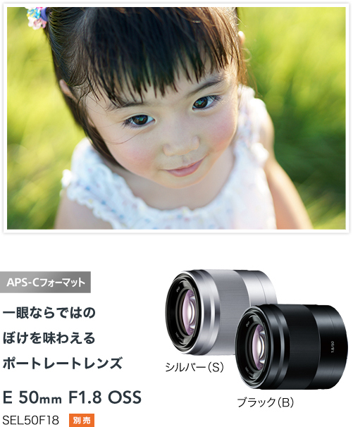 α6000 特長 : いつでもどこでも、大きくぼけて色鮮やか | デジタル一眼