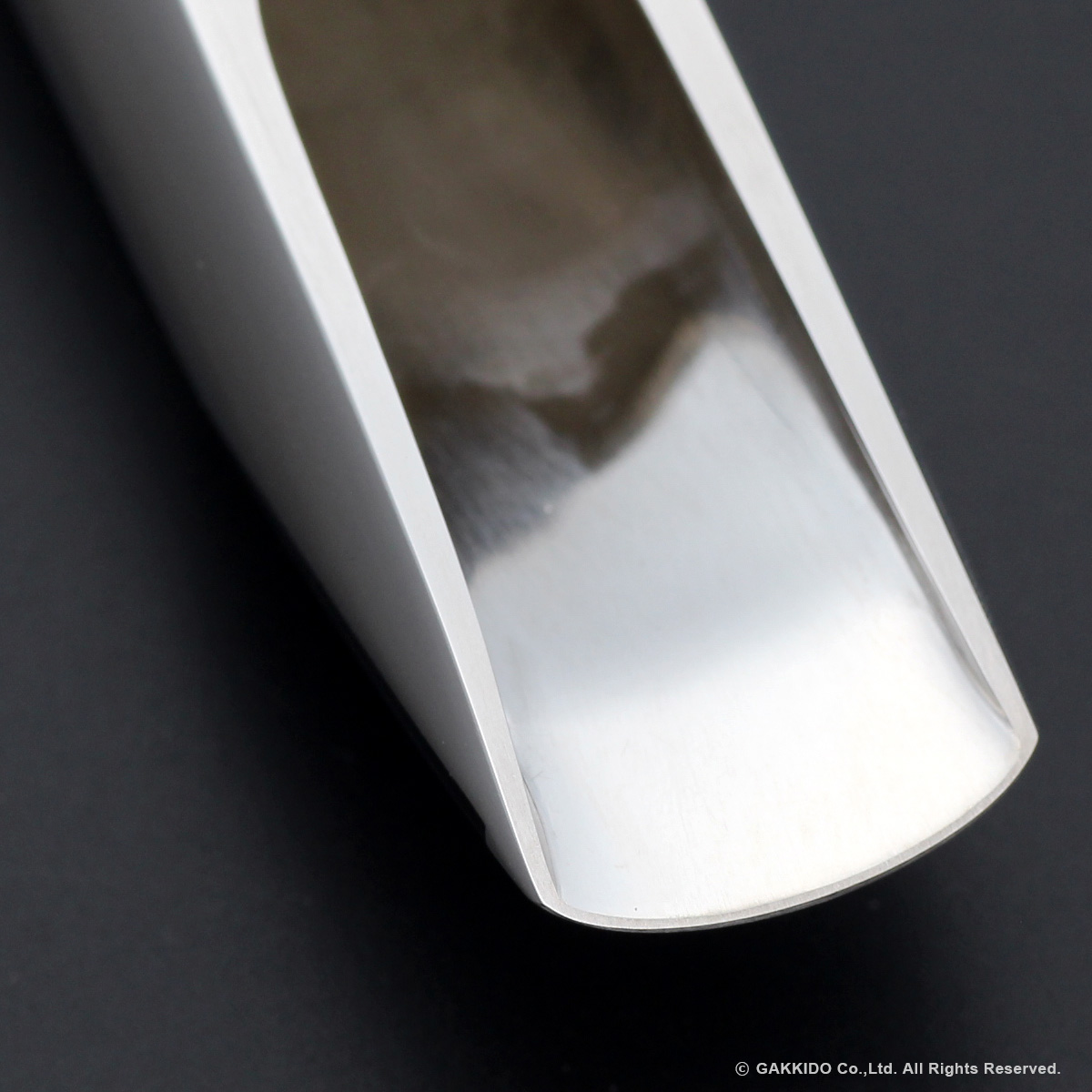 TedKlum FocusTone Handcrafted Model Solid Silver テナーサックス用