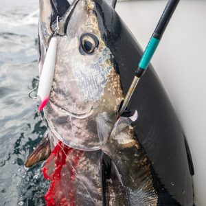 CB One Gilla 250 - Saltywater Tackle Inc.