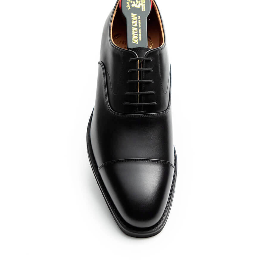 2776BL（E） | スコッチグレイン｜SCOTCH GRAIN｜オフィシャル