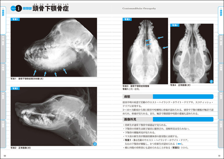 裁断済み思考プロセスを習得する犬と猫のX線読影 犬と