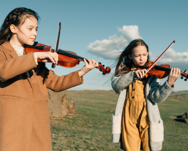 Franz Hoffmann Violins, Cellos & Basses: Top Choice for Beginners