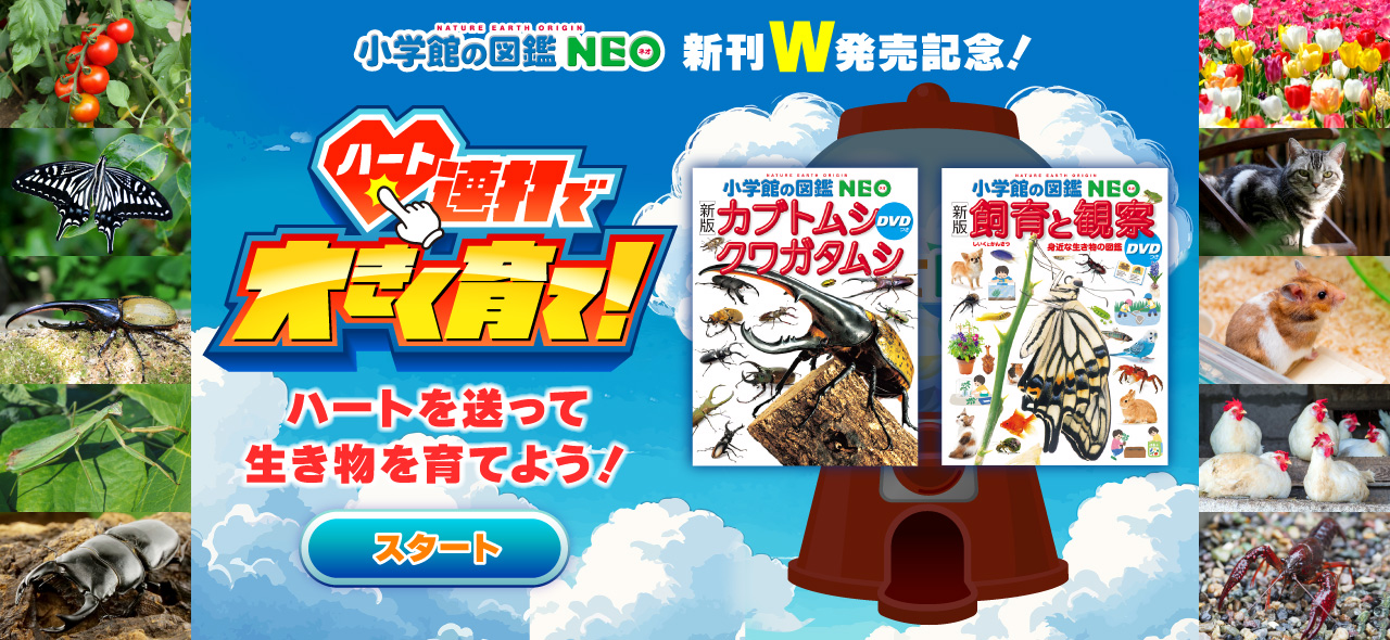 小学館の図鑑NEOシリーズ | 小学館