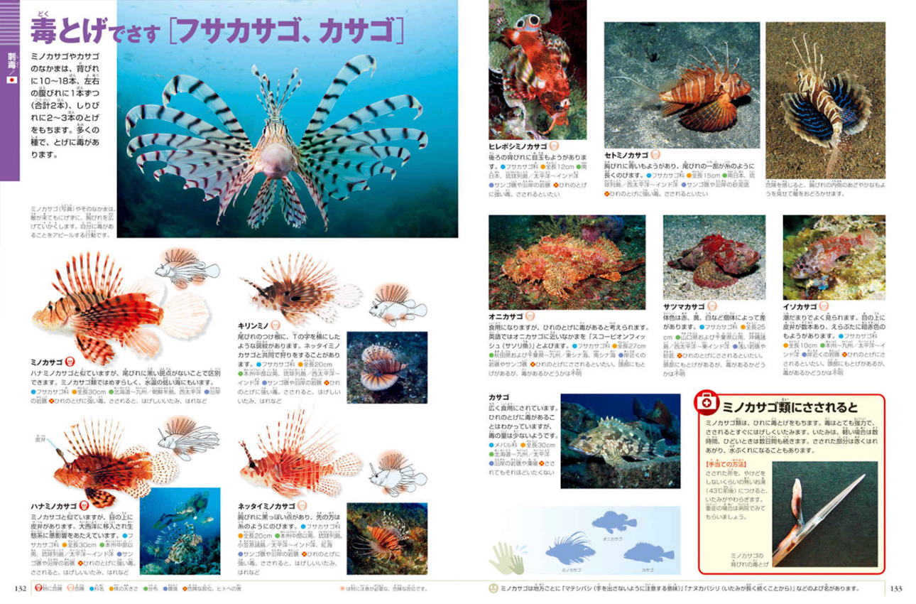 危険生物 DVDつき | 小学館の図鑑NEOシリーズ | 小学館